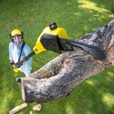 Best Aeration Services  in Maple Plain, MN
