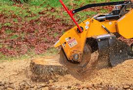 Best Tree Trimming and Pruning  in Maple Plain, MN